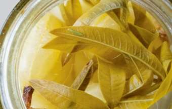 Rachel de Thample: Gooseberry Pickles